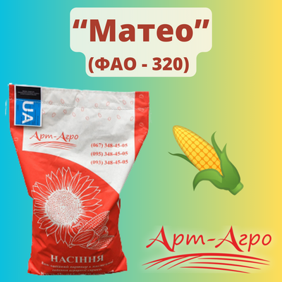 Кукуруза "Матэо" (ФАО - 320)