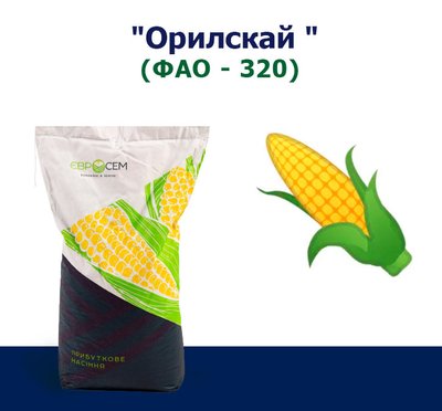 Семена кукурузы Орилской (ФАО 320)
