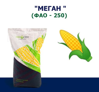 Семена кукурузы МЕГАН (ФАО 250)