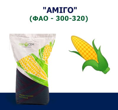 Насіння кукурудзи АМІГО (ФАО 300-320)