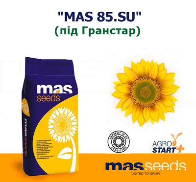 Соняшник "MAS  85.SU"