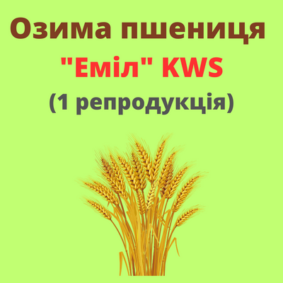 Пшеница "Емил"