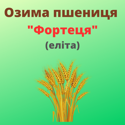 Пшениця "Фортеця"