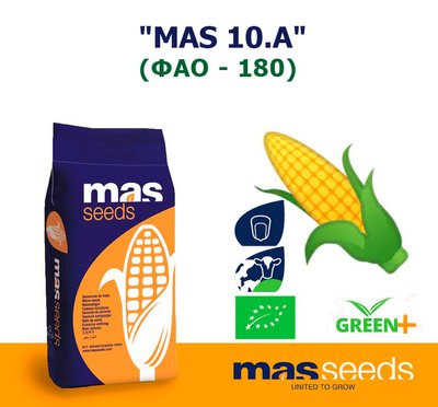 Кукурудза "MAS 10.A" (ФАО - 180)