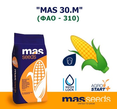 Кукурудза "MAS 30.M" (ФАО - 310)