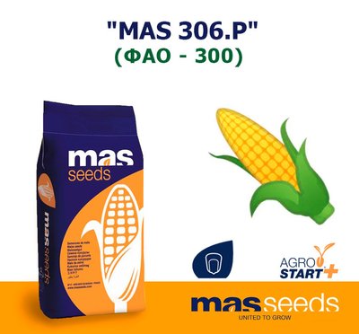 Кукуруза "MAS 306.P" (ФАО - 300)
