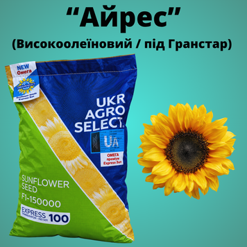 Фотографія - Соняшник Айрес (Високоолеїновий)