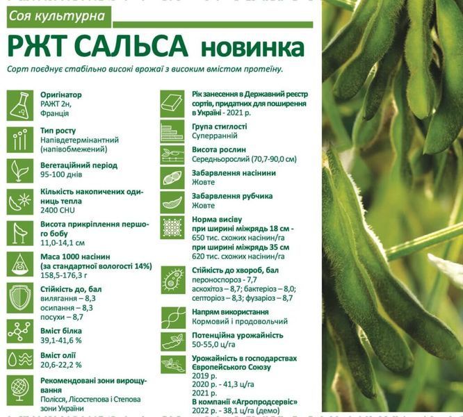 Соя РЖТ САЛЬСА (Классическая)