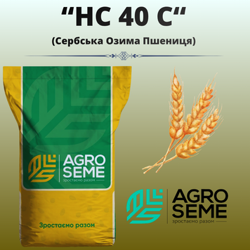 Пшениця "НС 40 С" (Сербія, Перша репродукція, 25 кг)