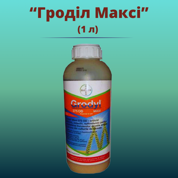 Фотографія - Гербіцид Гроділ Максі (1 літрів)