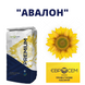 Изображение - Подсолнечник Авалон (Традиционный)