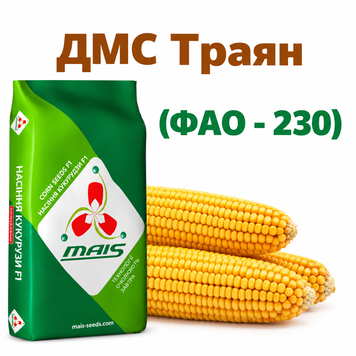 Фотографія - Кукурудза ДМС Траян (ФАО - 230)