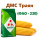 Зображення - Кукурудза ДМС Траян (ФАО - 230)
