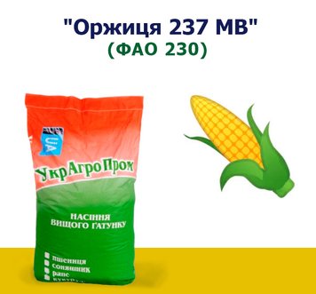 Кукуруза Оржица 237 МВ (ФАТ 230)