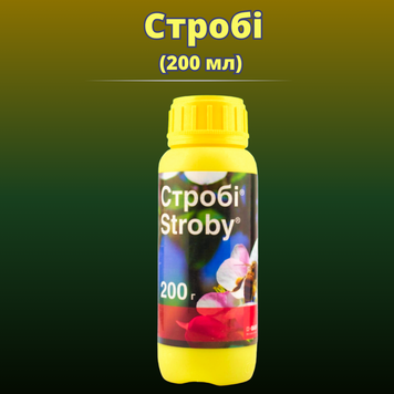 Фотографія - Фунгіцид Стробі
