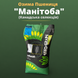 Озима Пшениця "Манітоба" (біг бег 1 тона, еліта, Канадська)