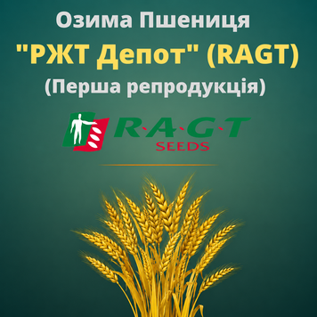 Пшениця "Депот" (1 репродукція, РЖТ)