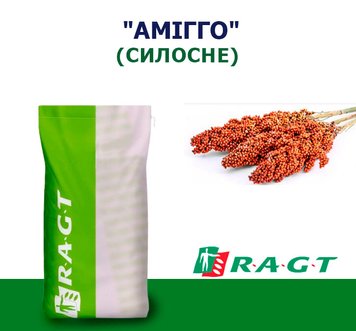 СОРГО "АМИГГО" СИЛОСНОЕ