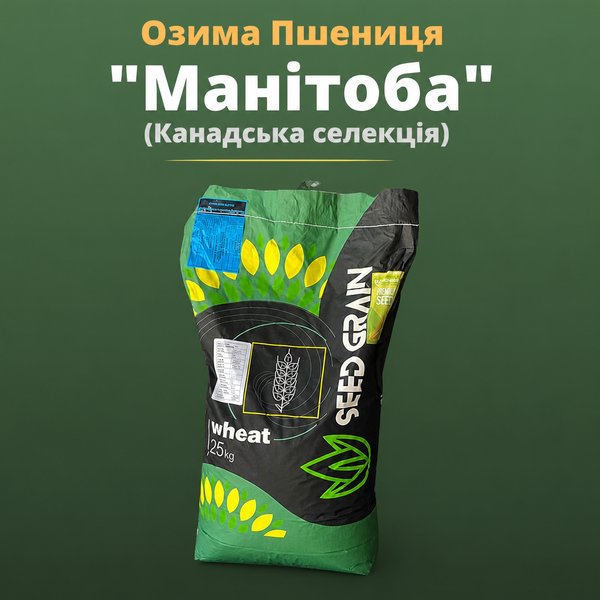 Озимая Пшеница "Манитоба" (мешок 25 кг, Канадская)