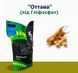 СОЯ "Оттава"