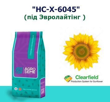 Соняшник "НС-Х-6045" (Екстра Плюс)