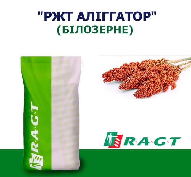 СОРГО "РЖТ АЛИГГАТОР" БЕЛОЗЕРНОЕ