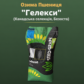 Озима Пшениця "Гелексі" (мішок 25 кг, безоста, Канадська)