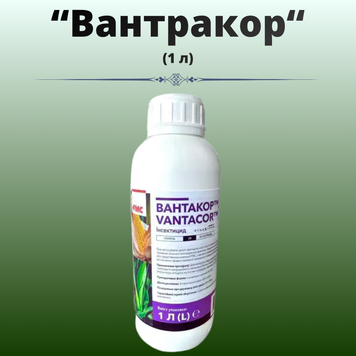 Фотографія - Вантакор