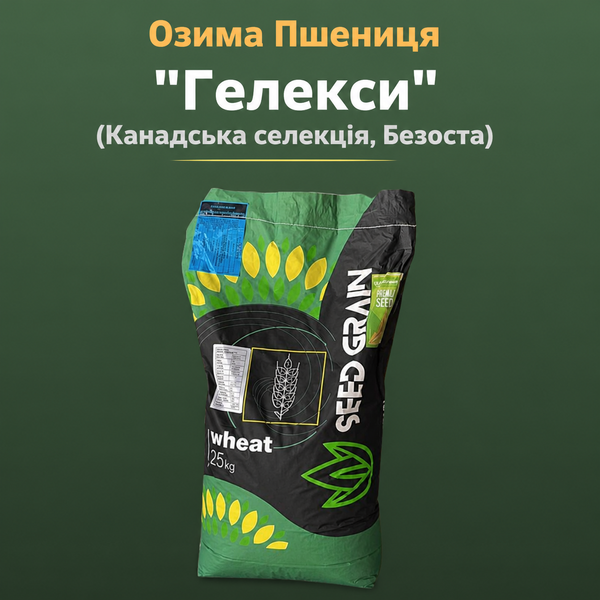 Озима Пшениця "Гелексі" (мішок 25 кг, безоста, Канадська)