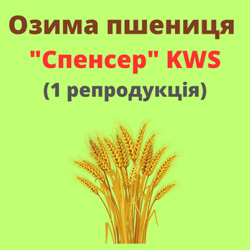 Пшениця "Спенсер" (1 репродукція)