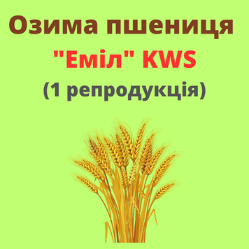 Пшениця "Еміл" (1 репродукція)