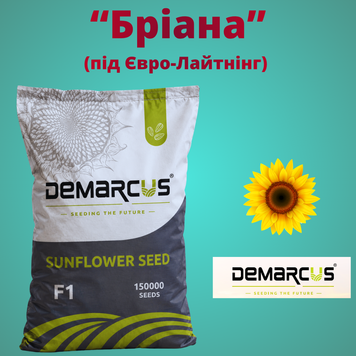 Соняшник "БРІАНА" (Економ 2026 рік, під Євролайтінг)