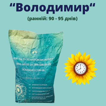 Соняшник ВОЛОДИМИР (Ультра Ранній, для пізньогопосіву)