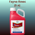 BAYER