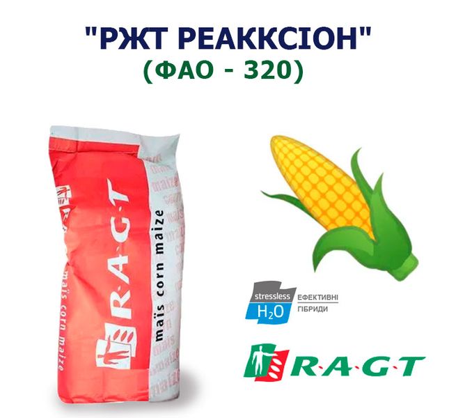 Кукурудза "РЖТ РЕАККСІОН" (ФАО - 320)