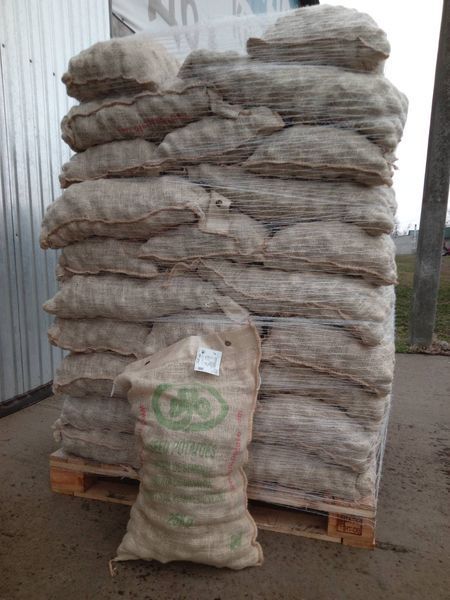 Картофель семенной "Бюррен" (Элита, 25 кг, BURREN, IPM Potato Group)