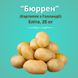 Картофель семенной "Бюррен" (Элита, 25 кг, BURREN, IPM Potato Group)