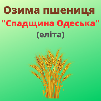 Пшениця "Спадщина Одеська"(Еліта)