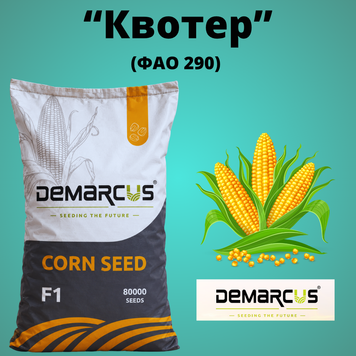 Кукурудза "КВОТЕР" (Екстра)