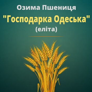 Пшениця "Господарка Одеська"(Еліта)