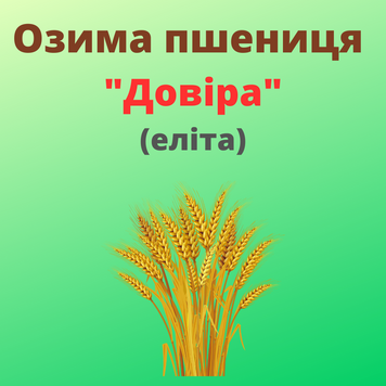 Пшениця "Довіра" (Еліта)