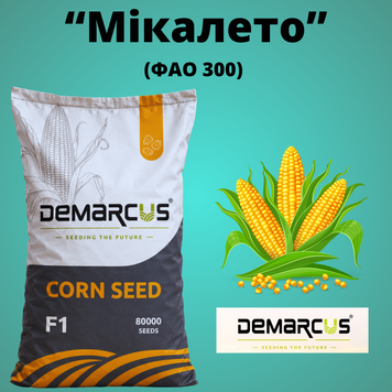 Кукуруза "Мікалето" (ФАО - 300, Стандарт)
