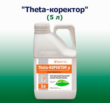 Фотографія - Прилипач ПАР Theta-коректор (5 літрів)