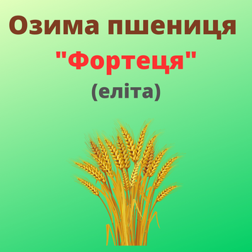 Пшениця "Фортеця" (Еліта)