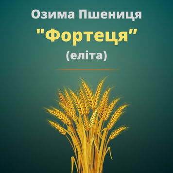 Пшениця "Фортеця" (Еліта)