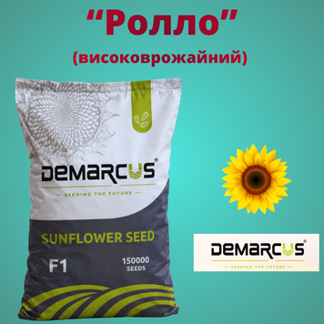 Соняшник "Ролло" (Економ 2026 року, Високоворожайний, під гранстар)