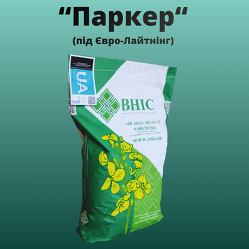 Фотография - Семена Рапса "Паркер" (под Евролайтинг)