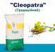 Ріпак "Cleopatra"