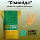 Пшениця "Сімоніда" (Безоста, Сербія, Перша репродукція, 25 кг)