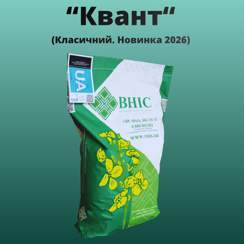 Фотография - Семена Рапса "Квант"